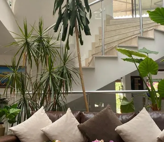 Elegance 2*